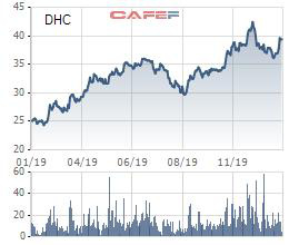 Dohaco (DHC) báo lãi quý 4 hơn trăm tỷ, cao nhất kể từ khi lên sàn giao dịch - Ảnh 2.