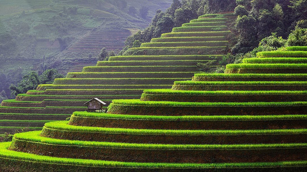 HOT: Ruộng bậc thang Mù Cang Chải vừa được công nhận Di tích Quốc gia đặc biệt, dự sẽ ngày càng hot trên bản đồ du lịch Việt - Ảnh 2.