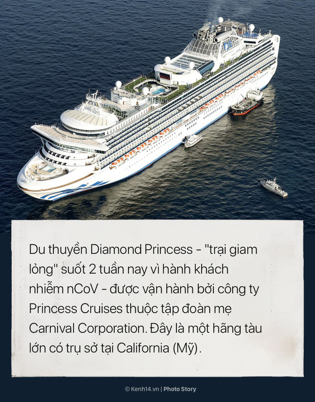 Hai tuần bị cách ly của Diamond Princess: Từ du thuyền xa hoa trở thành ổ dịch virus corona lớn thứ nhì thế giới - Ảnh 1.