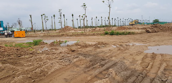 Hưng Yên phạt nặng doanh nghiệp tự ý san lấp 2,7 ha đất trồng lúa - Ảnh 2.