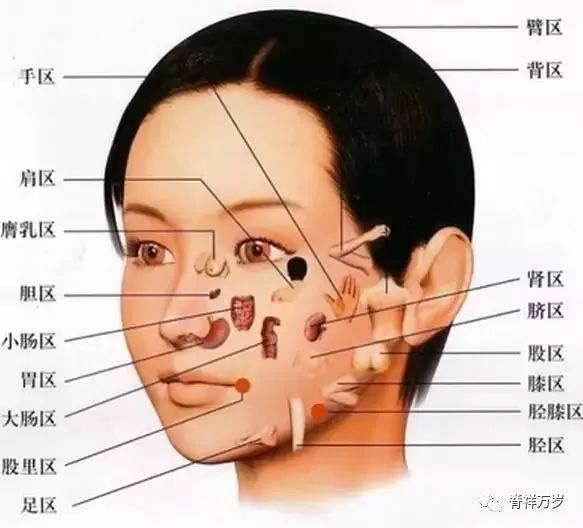 Bí mật diện chẩn Đông y xưa: Nhìn mặt bắt bệnh ở các cơ quan nội tạng - Ảnh 2.
