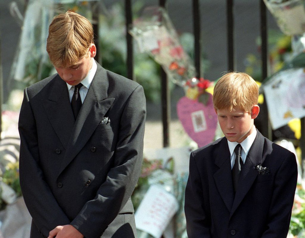Hé lộ cuộc gọi cuối cùng với con trai của Công nương Diana trước khi ra đi, điều khiến hai vị Hoàng tử nuối tiếc suốt cuộc đời - Ảnh 1.