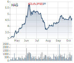 HAGL (HAG): Bầu Đức đăng ký mua 50 triệu cổ phần, tăng sở hữu lên 40,62% vốn - Ảnh 1.