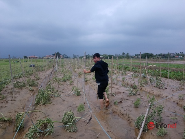 Mưa lũ nhấn chìm vựa rau lớn nhất ở Huế, gây thiệt hại lớn - Ảnh 7.