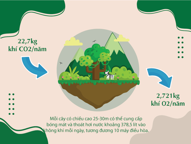 Khi triệu cây xanh là triệu câu chuyện về cảm hứng tích cực cho cuộc sống  - Ảnh 1.