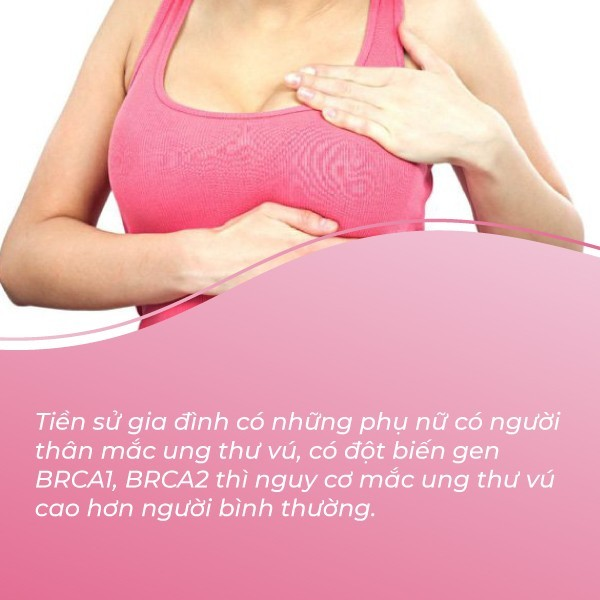 Hơn 15.000 ca ung thư vú được phát hiện mới mỗi năm tại Việt Nam: Những người sau có nguy cơ cao mắc bệnh - Ảnh 2.