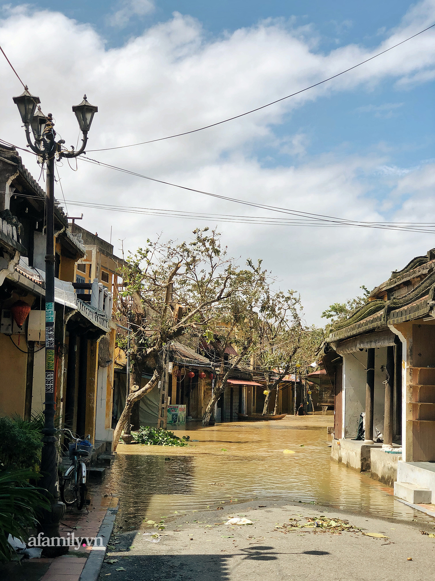 Hội An tan hoang sau bão số 9, những rặng hoa giấy rực rỡ ngày thường nay bỗng hóa xác xơ, nước sông Hoài dâng lên ngập cả nhiều tuyến đường trung tâm phố cổ - Ảnh 13. Hội An tan hoang sau bão số 9, những rặng hoa giấy rực rỡ ngày thường nay bỗng hóa xác xơ, nước sông Hoài dâng lên ngập cả nhiều tuyến đường trung tâm phố cổ - Ảnh 13.
