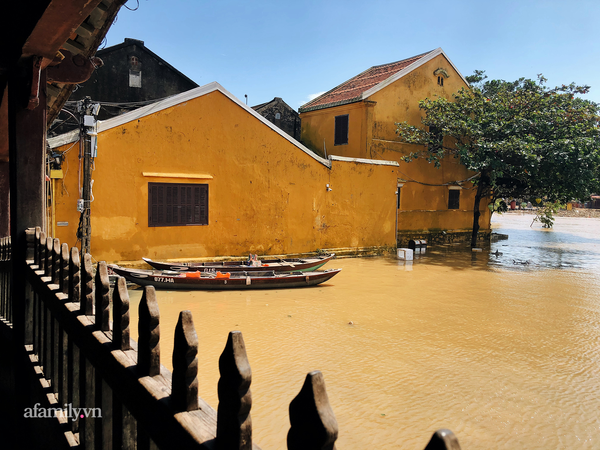 Hội An tan hoang sau bão số 9, những rặng hoa giấy rực rỡ ngày thường nay bỗng hóa xác xơ, nước sông Hoài dâng lên ngập cả nhiều tuyến đường trung tâm phố cổ - Ảnh 6. Hội An tan hoang sau bão số 9, những rặng hoa giấy rực rỡ ngày thường nay bỗng hóa xác xơ, nước sông Hoài dâng lên ngập cả nhiều tuyến đường trung tâm phố cổ - Ảnh 6.