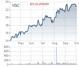 GELEX chào mua thành công 94,61 triệu cổ phiếu VGC, tiến sát mục tiêu sở hữu chi phối Viglacera - Ảnh 1.