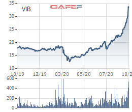 VIB tăng 85% từ đầu năm, vợ Phó TGĐ VIBank vẫn đăng ký mua 3,2 triệu cổ phiếu - Ảnh 1.