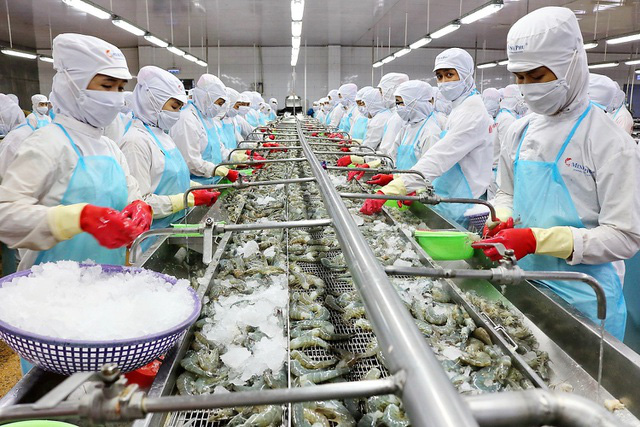 Đặt mục tiêu 20 tỷ USD vào năm 2030, chiến lược dài hơi nào cho con cá, con tôm Việt? - Ảnh 1.