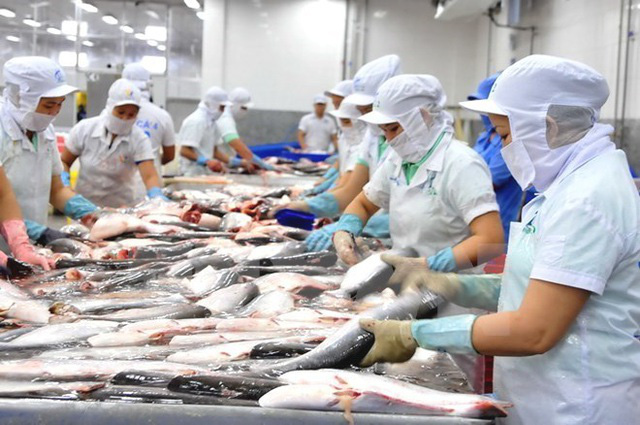 Đặt mục tiêu 20 tỷ USD vào năm 2030, chiến lược dài hơi nào cho con cá, con tôm Việt? - Ảnh 2.