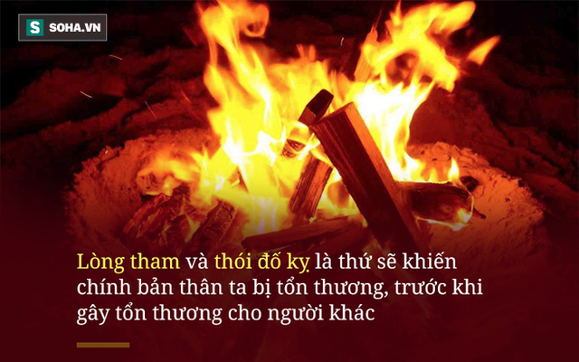 Phát hiện số lượng cá nuôi trong ao ngày càng giảm dần, người đàn ông theo dõi và phát hiện cảnh tượng không thể ngờ tới - Ảnh 3.