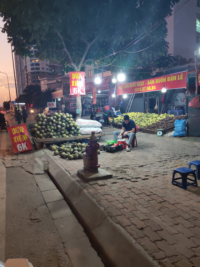 Trái cây Việt giá rẻ chưa từng có tràn lan khắp vỉa hè Hà Nội - Ảnh 2.