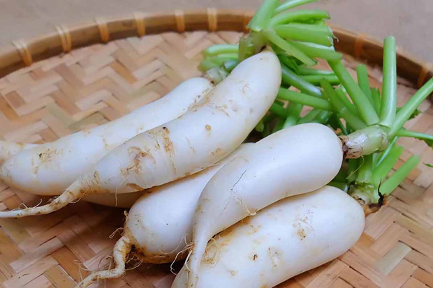 Loại củ giá vài chục 1kg ở Việt Nam không ngờ chính là vũ khí sống thọ của người Nhật, chống 3 loại ung thư, dùng làm thuốc trị bệnh nào cũng tốt - Ảnh 1. Loại củ giá vài chục 1kg ở Việt Nam không ngờ chính là vũ khí sống thọ của người Nhật, chống 3 loại ung thư, dùng làm thuốc trị bệnh nào cũng tốt - Ảnh 1.