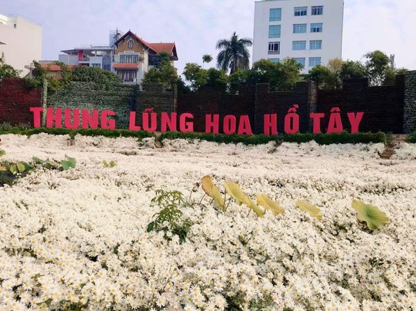 Sai phạm đất đai tràn lan ở Thung lũng hoa Hồ Tây  - Ảnh 1.