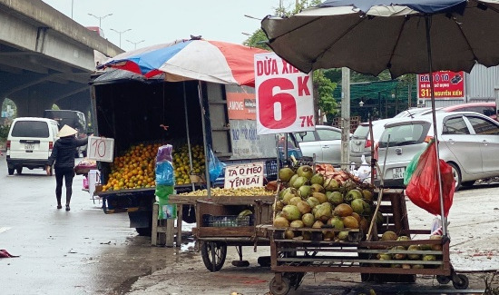 Điều bất ngờ về trái bưởi Đoan Hùng giá siêu rẻ, chỉ 2k/quả - Ảnh 3.