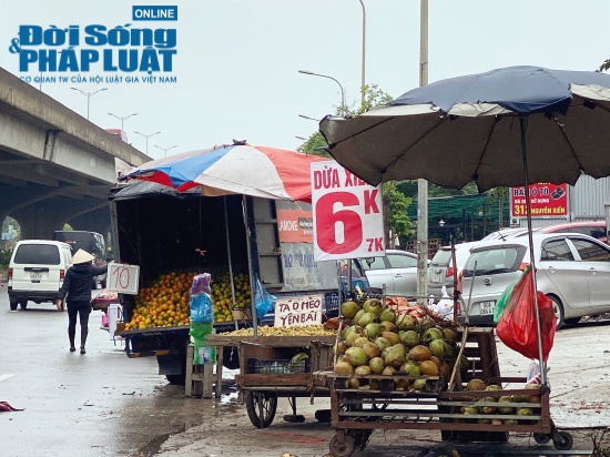 Tiểu thương hé lộ bí mật bất ngờ phía sau những trái dừa xiêm 6k tràn lan khắp phố - Ảnh 1.