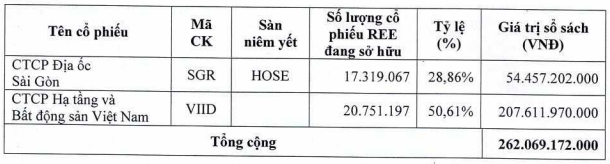 REE sẽ chuyển danh mục bất động sản với giá trị sổ sách 262 tỷ đồng sang cho REE Land - Ảnh 1.