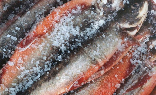 5 loại cá có khả năng biến thành độc dược, được khuyên nên ăn ít kẻo ung thư tìm đến - Ảnh 2.