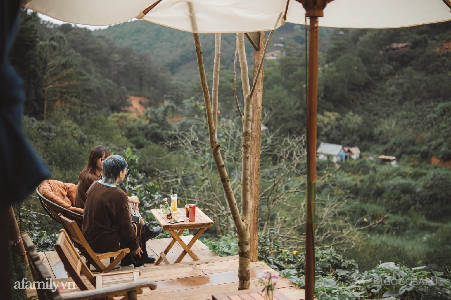 Thung lũng bí ẩn lạ lẫm ở Đà Lạt: Có hoa vàng cỏ xanh, suối mát lành đẹp như tranh vẽ, nhưng không phải cứ muốn đến là được, cũng chẳng có 3G để xài! - Ảnh 1.