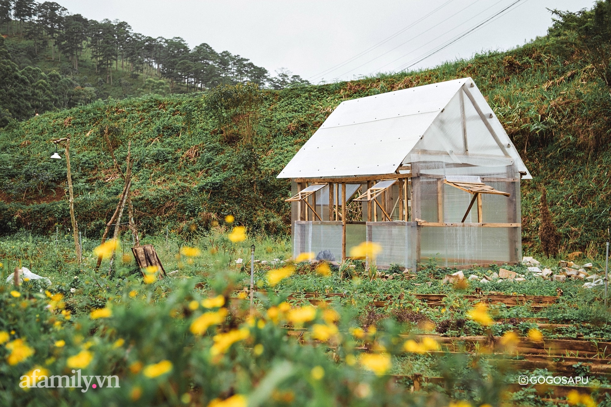 Thung lũng bí ẩn lạ lẫm ở Đà Lạt: Có hoa vàng cỏ xanh, suối mát lành đẹp như tranh vẽ, nhưng không phải cứ muốn đến là được, cũng chẳng có 3G để xài! - Ảnh 9.