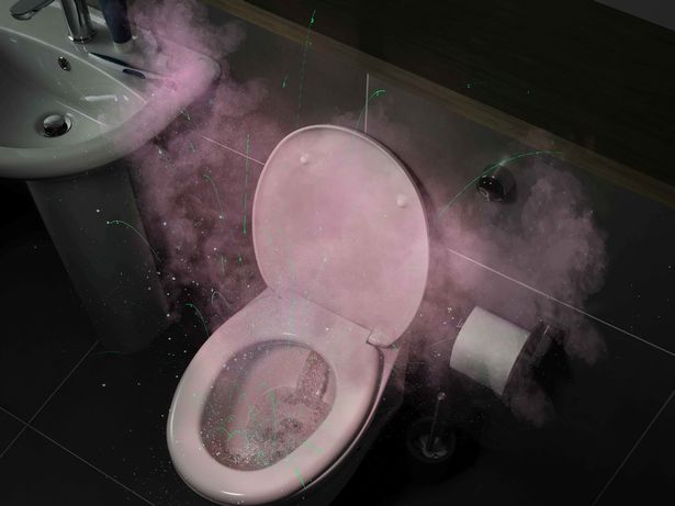 Cập nhật hơn 57 về hình nền toilet mới nhất  Du học Akina