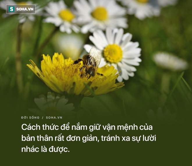 Bất mãn rồi sinh ra hận công ty, người đàn ông được đồng nghiệp hiến kế báo thù, không ngờ nửa năm sau được thăng chức - Ảnh 2. Bất mãn rồi sinh ra hận công ty, người đàn ông được đồng nghiệp hiến kế báo thù, không ngờ nửa năm sau được thăng chức - Ảnh 2.