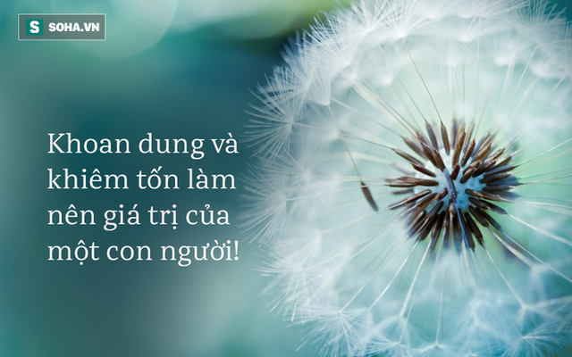 Rễ cây có phát ra âm thanh không? và đáp án khiến những người thích khoe khoang phải xấu hổ - Ảnh 1. Rễ cây có phát ra âm thanh không? và đáp án khiến những người thích khoe khoang phải xấu hổ - Ảnh 1.