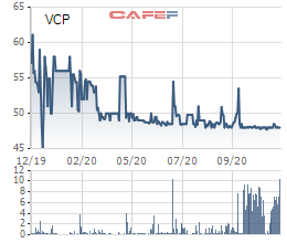 Đầu tư VSD đăng ký mua 12 triệu cổ phiếu VCP của Vinaconex Power - Ảnh 1.