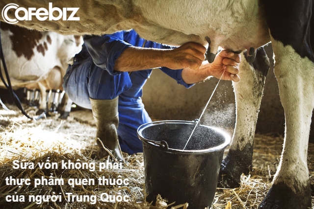 Uống sữa để yêu nước - Chiến dịch tăng chiều cao của người Trung Quốc và cái giá đắt đỏ đối với môi trường thế giới - Ảnh 1.