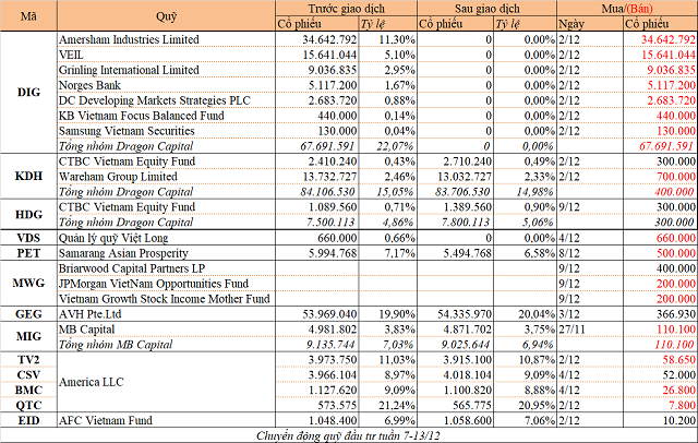 Chuyển động quỹ đầu tư tuần 7-13/12: Dragon Capital thoái toàn bộ DIG, quỹ Armstrong mua GEG - Ảnh 1.