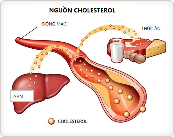 10 lầm tưởng nghiêm trọng về chế độ ăn lành mạnh: Không sửa sớm vừa hại sức khỏe vừa tốn tiền vô ích - Ảnh 8.