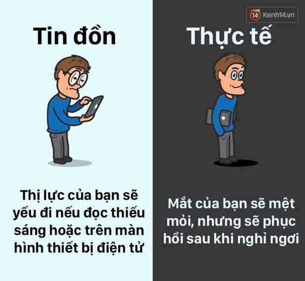 12 lầm tưởng về cơ thể chúng ta mà rất nhiều người hiểu sai, nay đã được khoa học bóc trần - Ảnh 2.