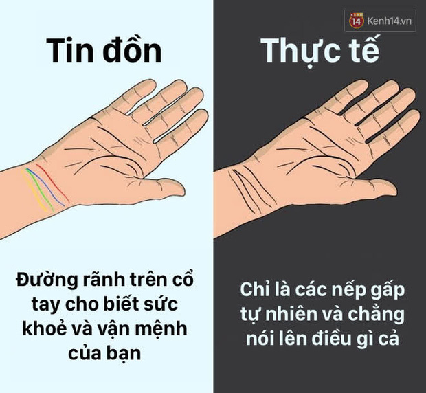 12 lầm tưởng về cơ thể chúng ta mà rất nhiều người hiểu sai, nay đã được khoa học bóc trần - Ảnh 11.