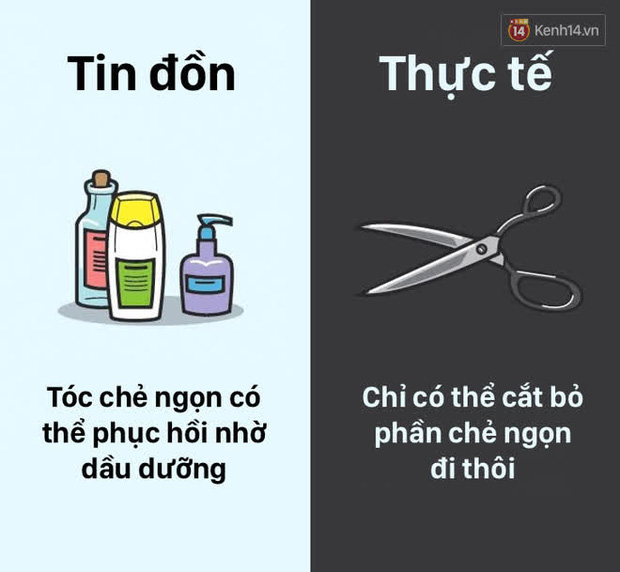 12 lầm tưởng về cơ thể chúng ta mà rất nhiều người hiểu sai, nay đã được khoa học bóc trần - Ảnh 3.