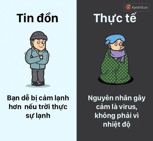 12 lầm tưởng về cơ thể chúng ta mà rất nhiều người hiểu sai, nay đã được khoa học bóc trần - Ảnh 5.