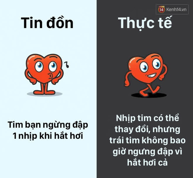 12 lầm tưởng về cơ thể chúng ta mà rất nhiều người hiểu sai, nay đã được khoa học bóc trần - Ảnh 6.