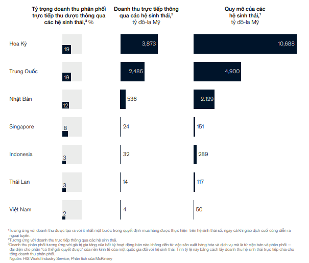 McKinsey: Việt Nam sẽ có 12 hệ sinh thái đa lĩnh vực với doanh thu khoảng 100 tỷ USD vào năm 2025 - Ảnh 2.