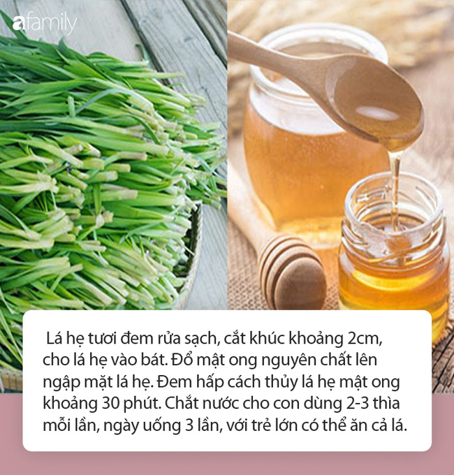 Lá hẹ có tác dụng gì?