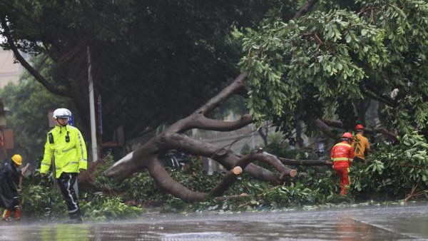 Bão Mekkhala đổ bộ tỉnh Phúc Kiến, Trung Quốc phát cảnh báo mưa bão kép - Ảnh 1.