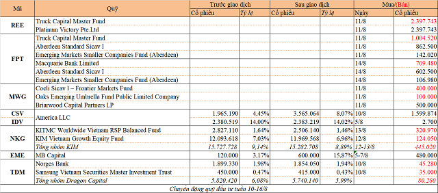 Chuyển động quỹ đầu tư tuần 10-16/8: Thỏa thuận lớn tại REE, FPT và MWG - Ảnh 1.