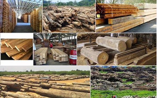 Chế biến gỗ và sản xuất sản phẩm từ gỗ ảnh hưởng mạnh bởi Covid-19 - Ảnh 1.