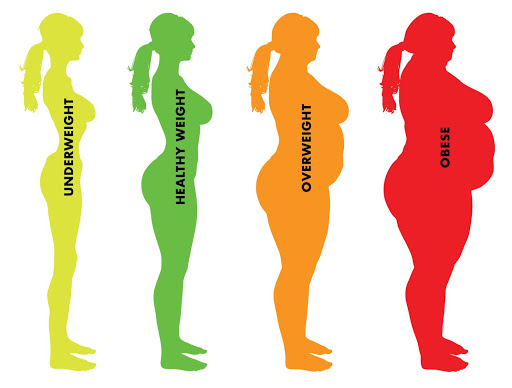 Bí quyết vàng để không bị thừa cân, béo phì: Luôn giữ được trọng lượng chuẩn như ý - Ảnh 1.