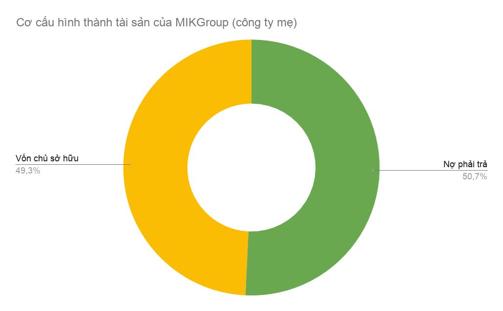 Nổi lên nhanh chóng với loạt dự án lớn, tình hình tài chính của nhóm MIKGroup đang ra sao? - Ảnh 1.