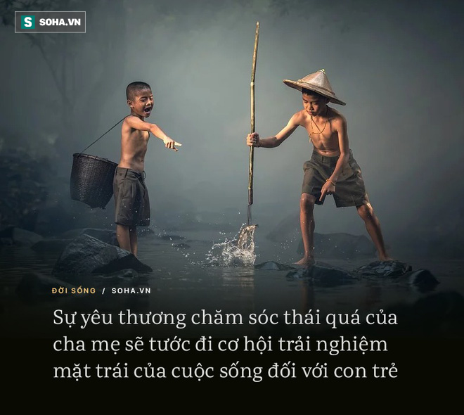 Thấy bầy thiên nga đậu xuống đảo, vợ chồng người đánh cá hào hứng cho ăn, không ngờ lại khiến chúng có ngày chết thảm - Ảnh 2. Thấy bầy thiên nga đậu xuống đảo, vợ chồng người đánh cá hào hứng cho ăn, không ngờ lại khiến chúng có ngày chết thảm - Ảnh 2.