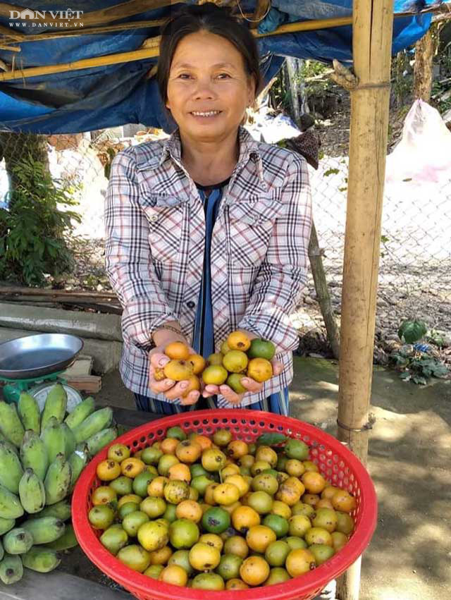 Quảng Ngãi: Trái dại vị chua ngọt - anh em của măng cụt ăn chơi nay thành đặc sản hút khách - Ảnh 5.