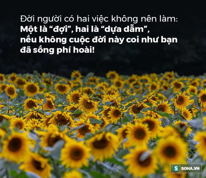 Đời người có 2 việc nhất định không nên làm, phạm phải 1 trong 2 cũng coi như đã phí hoài cuộc sống - Ảnh 1. Đời người có 2 việc nhất định không nên làm, phạm phải 1 trong 2 cũng coi như đã phí hoài cuộc sống - Ảnh 1.