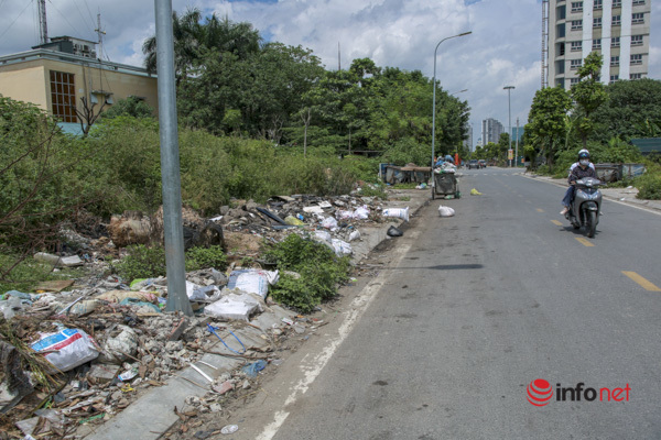 Cây chết khô, um tùm cỏ dại, rác thải bủa vây đường nối đại lộ Thăng Long - Ảnh 5.