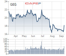Điện Gia Lai (GEG) phát hành 67 triệu cổ phiếu trả cổ tức và chào bán cho cổ đông hiện hữu - Ảnh 1.